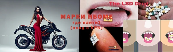 мяу мяу мука Белокуриха