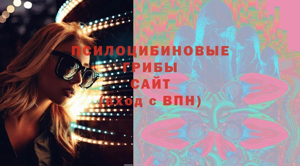 мяу мяу мука Белокуриха